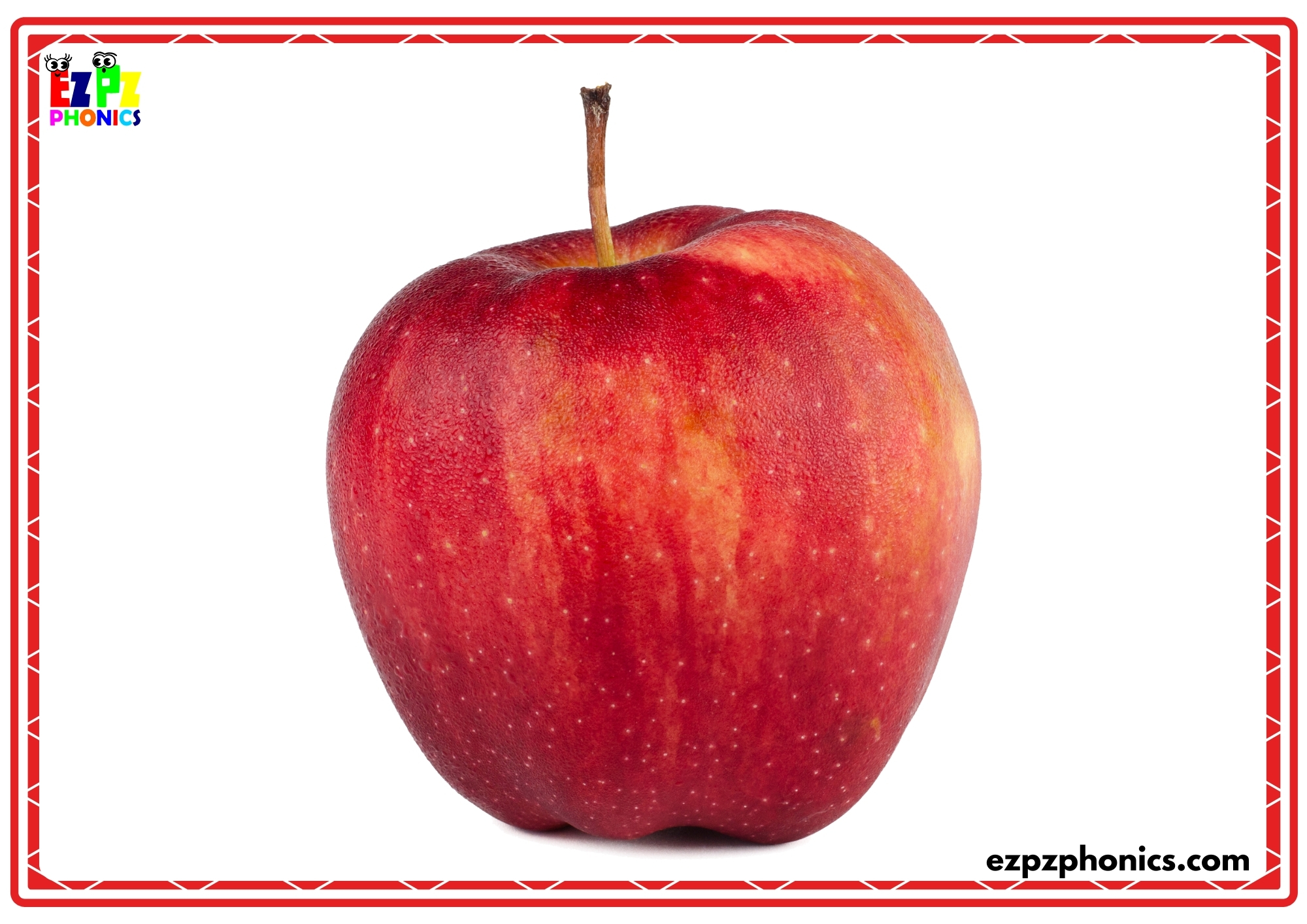 Fruit Vocabulary Flashcards  View Online or Free PDF Download
